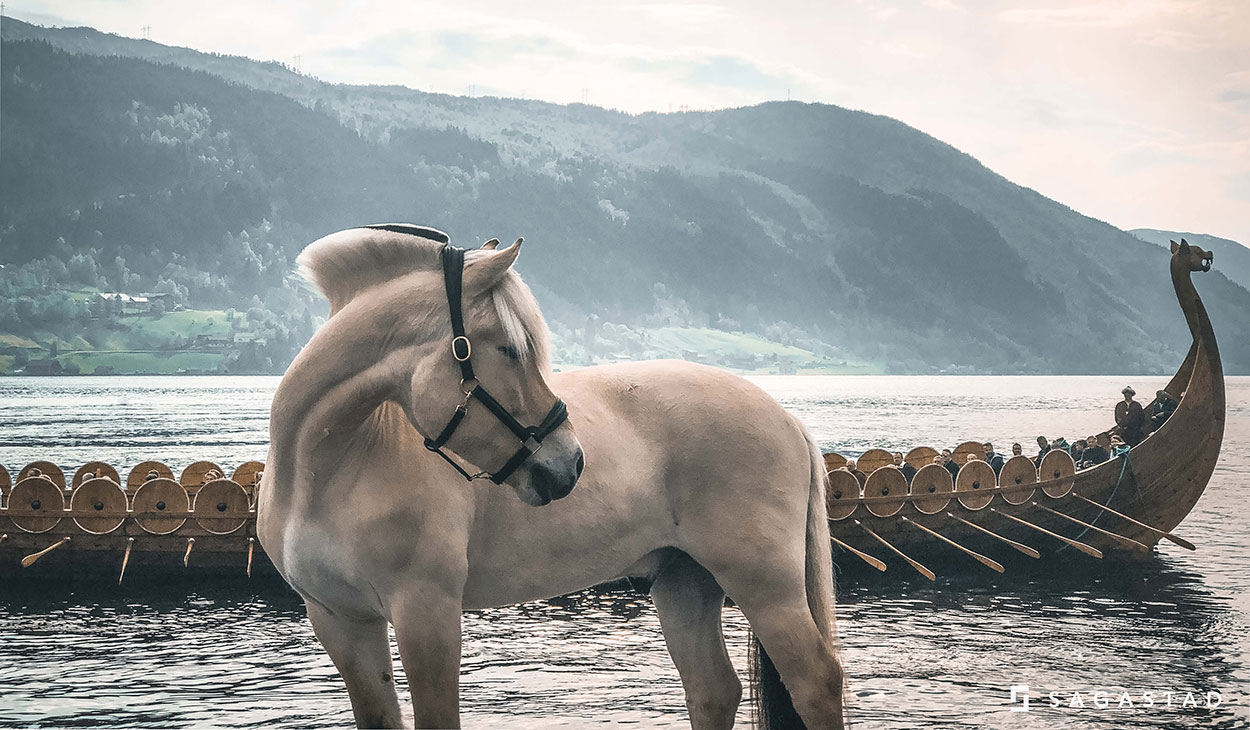 The Myklebust ship on the fjord, and a Fjord horse on land.